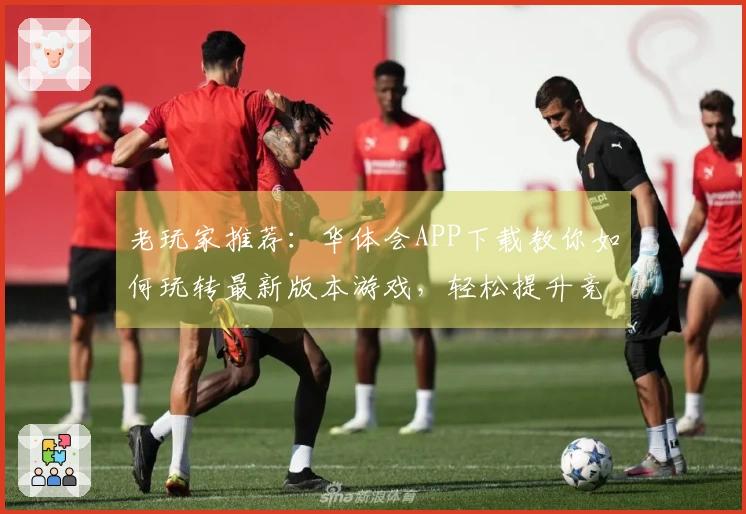 老玩家推荐：华体会APP下载教你如何玩转最新版本游戏，轻松提升竞技水平！