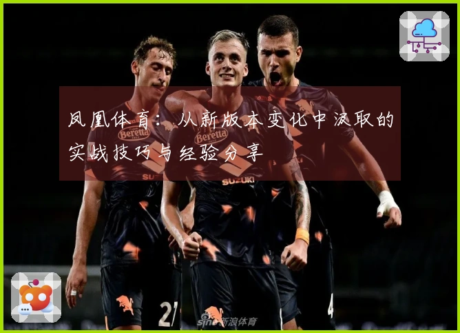凤凰体育:从新版本变化中汲取的实战技巧与经验分享