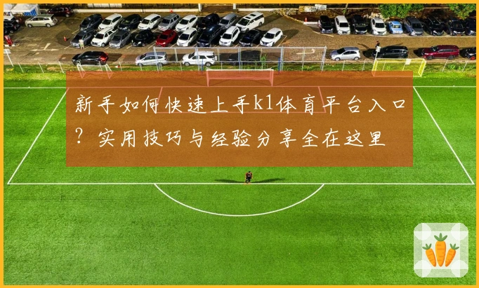 新手如何快速上手k1体育平台入口？实用技巧与经验分享全在这里