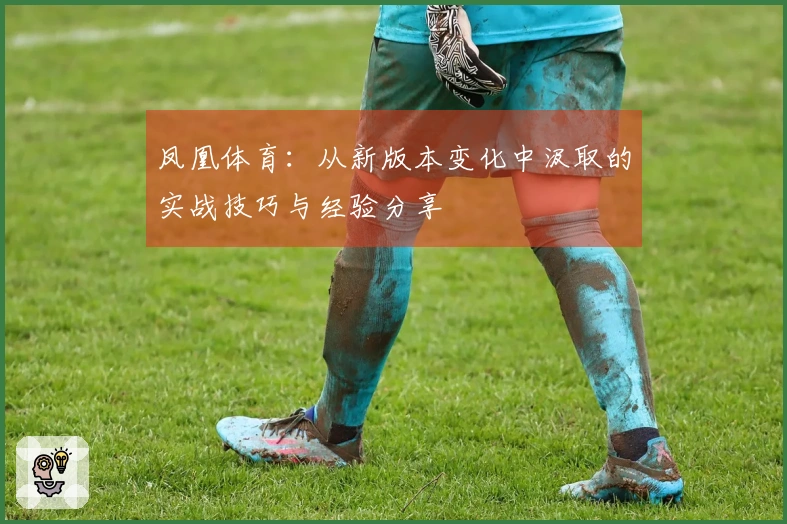凤凰体育：从新版本变化中汲取的实战技巧与经验分享