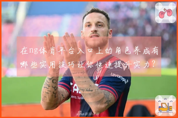 在ng体育平台入口上的角色养成有哪些实用技巧让你快速提升实力？