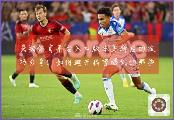 易游体育平台入口版本更新后的技巧分享：如何避开我曾遇到的那些坑